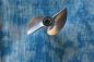 Preview: CNC Alu Propeller 34/2 x1,9 Fahrfertig links
